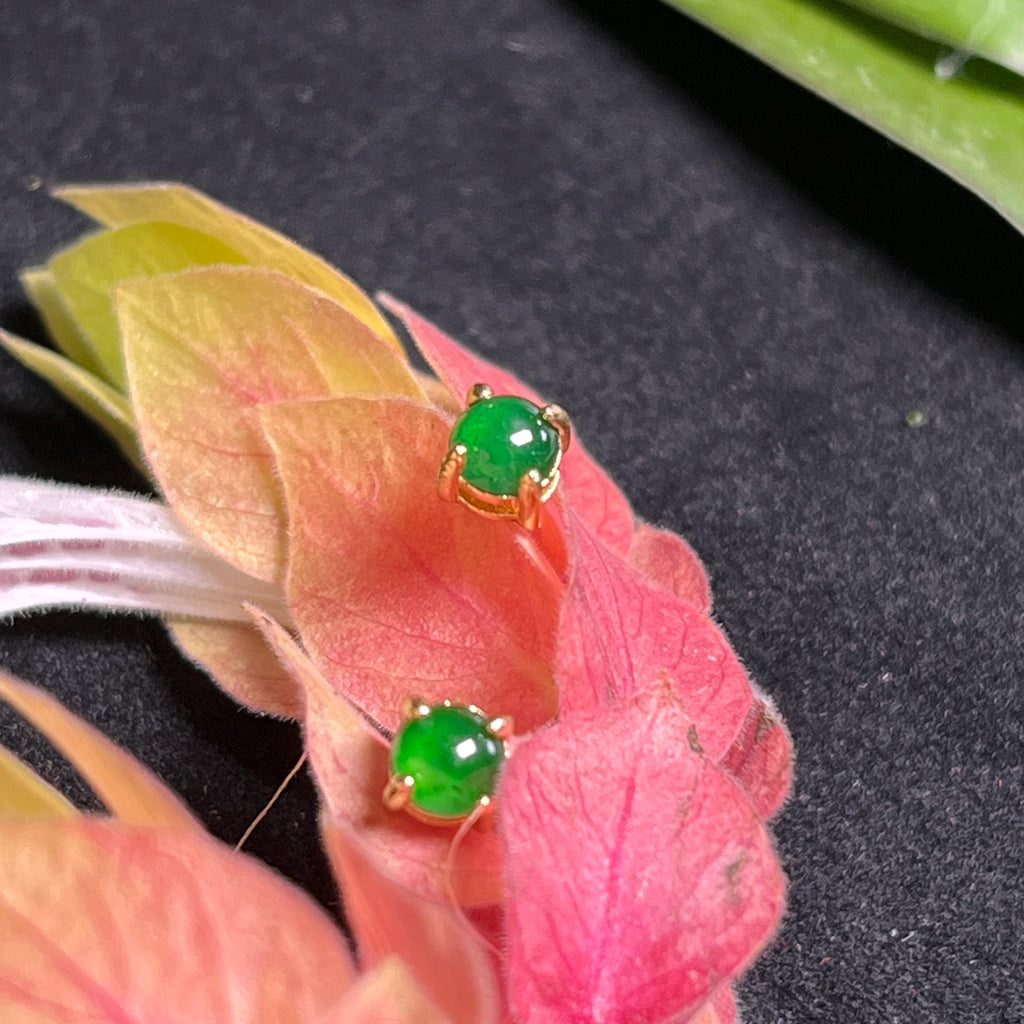 Certified Natural Untreated Burmese Minimalist Simple Stud Imperial Green Jadeite Earrings. S925 Sterling Silver Set SL259X18G SL259X18S - SL Precious