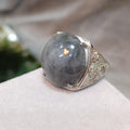 Certified A-Grade Natural Untreated Large Man Ring Burmese Black Wuji Jadeite 天然缅科鸟鸡翡翠 SL103B - SL Precious