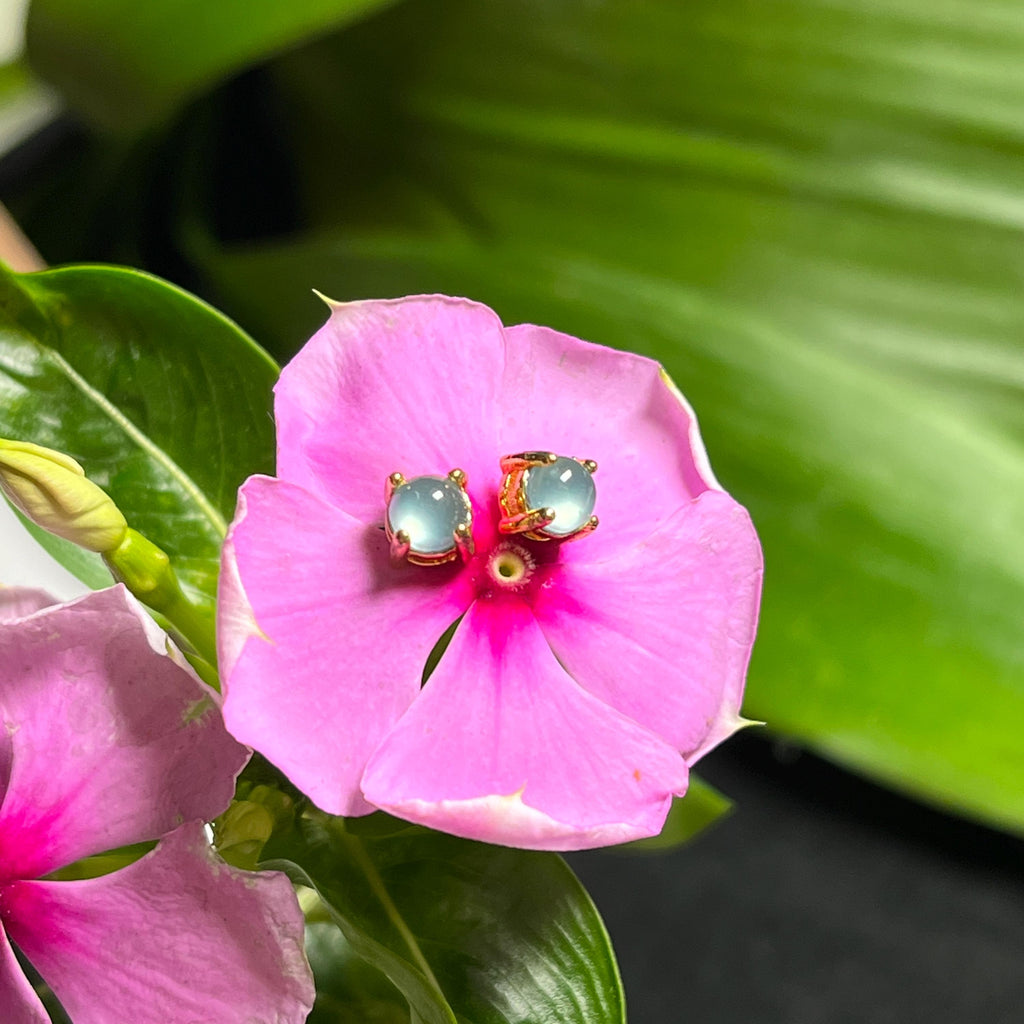 Certified A-Grade High Quality Light Bulbs Effect Natural Untreated Burmese Icy Blue Jadeite Minimalist Stud Earrings |  Birthday Gift SL350 - SL Precious