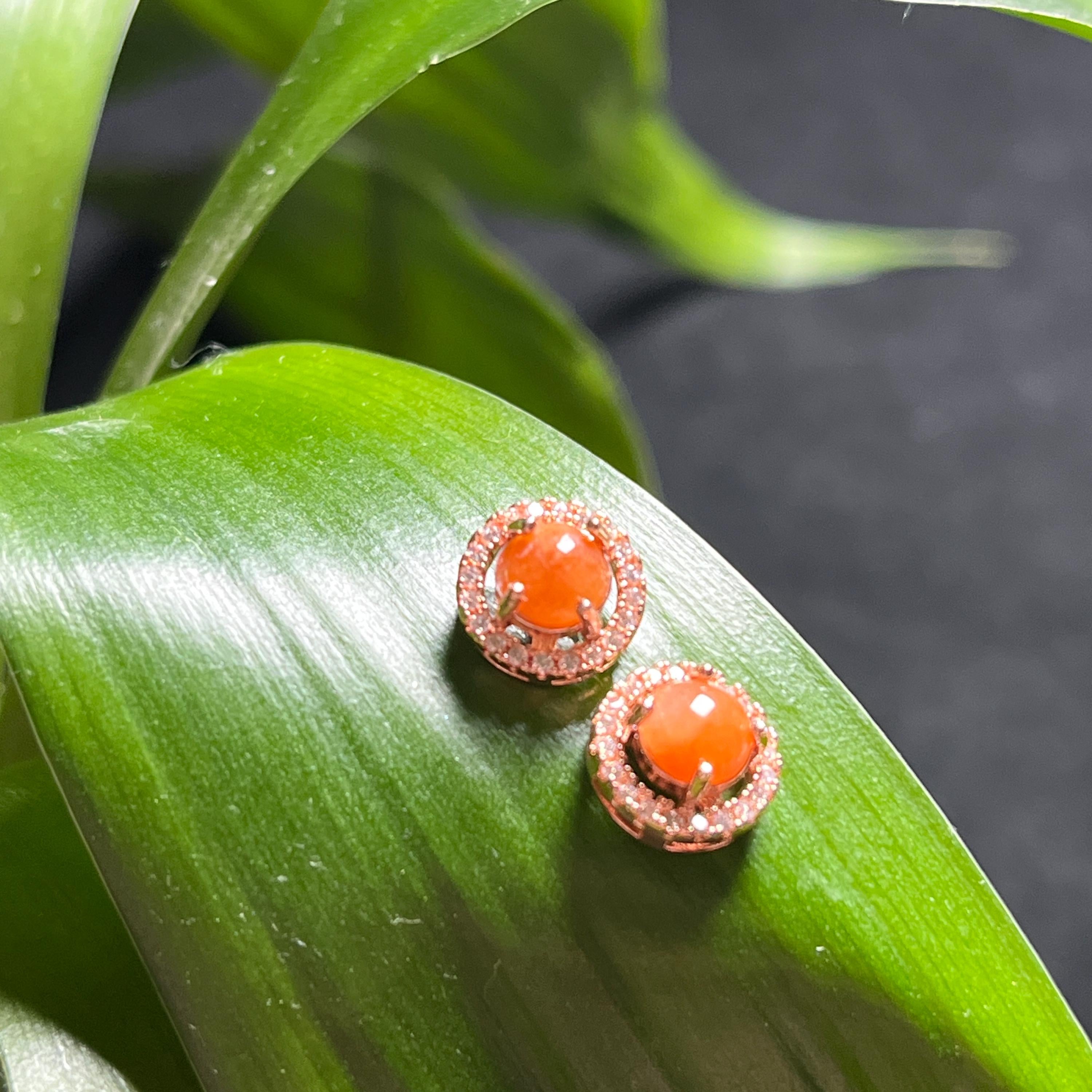 Certified Burmese A-Grade 4 Colors Icy White| Yellow| Apple Green| Red Jadeite Earrings 18k Rose Gold Plated on S925 Sterling Silver SL348 - SL Precious
