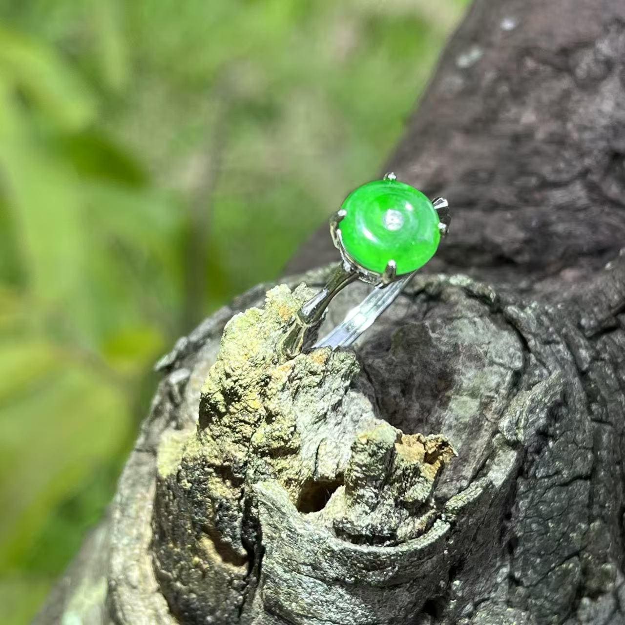 Certified Natural Guatemala Icy Green Jadeite Peace Buckle Ring | S925 Sterling Silver Lucky Amulet Jewelry with Certificate SL440/100