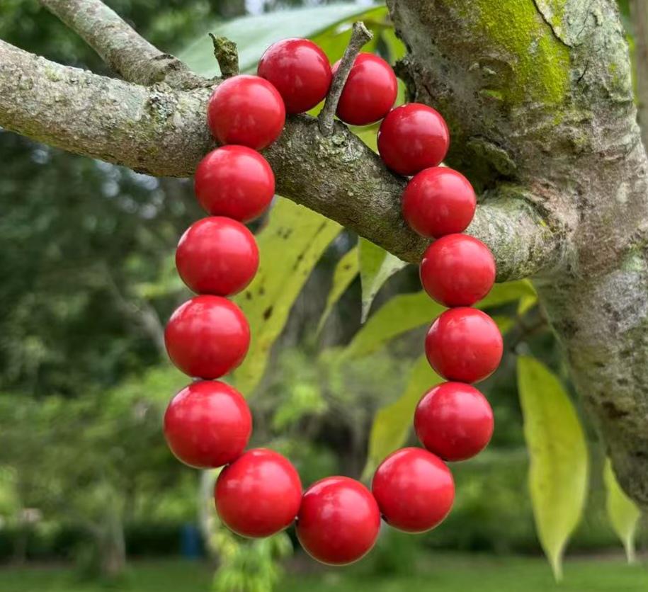Certified Sichuan Liangshan Waxi Nanhong Agate Bracelet | 15.9–16 mm × 15 Beads | 74.6 g | Collector-Grade Red SL480/100A