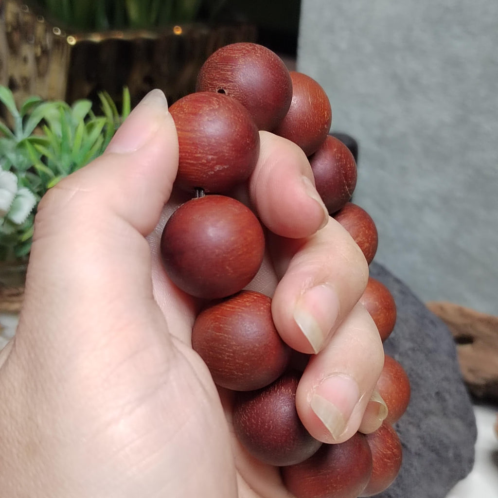 Hand holding a bunch of red berries with a blurred background