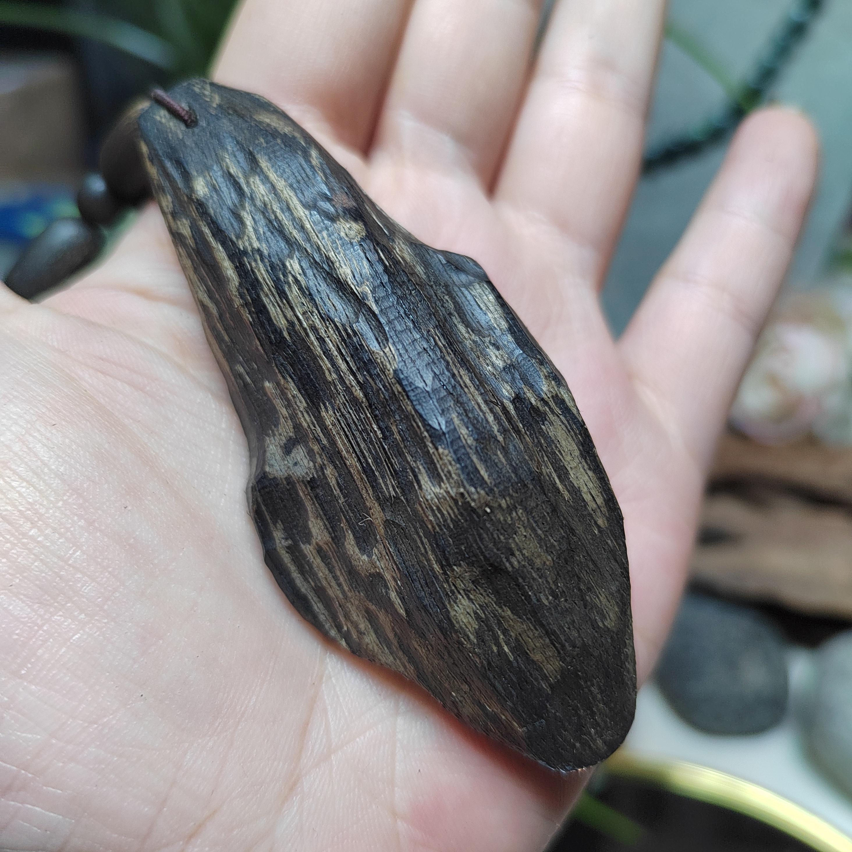 Hand holding a dark brown stone with a blurred background