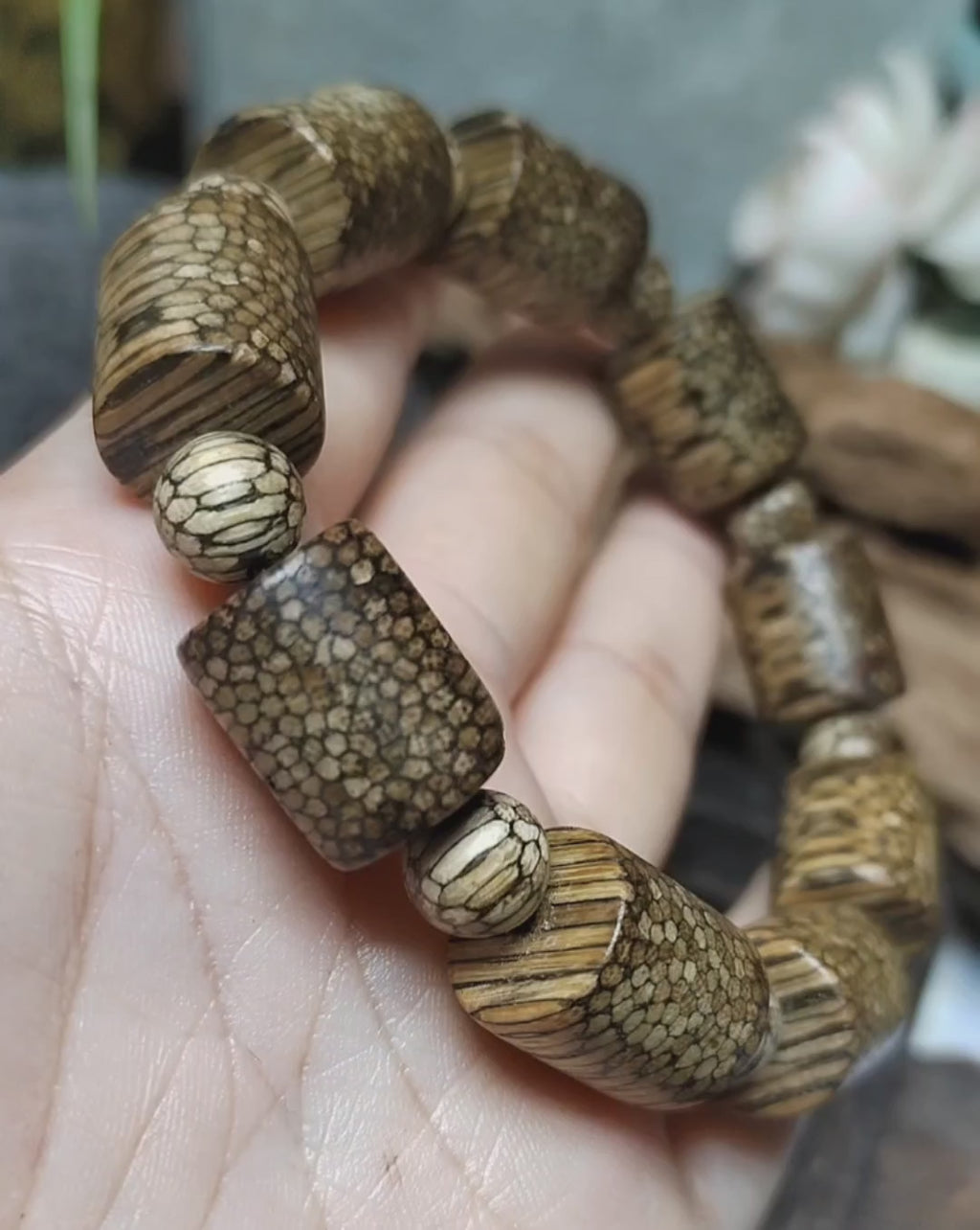Certified Cultivated Cambodian Snake-Pattern White Chesswood Bracelet SL517
